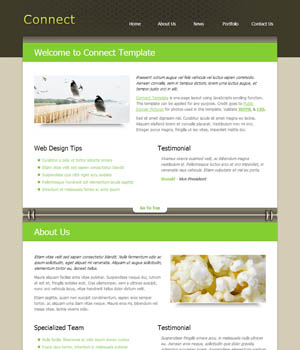 在线手机号轰炸测试